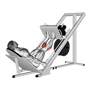 Жим носками в тренажёре под углом 45 градусов
